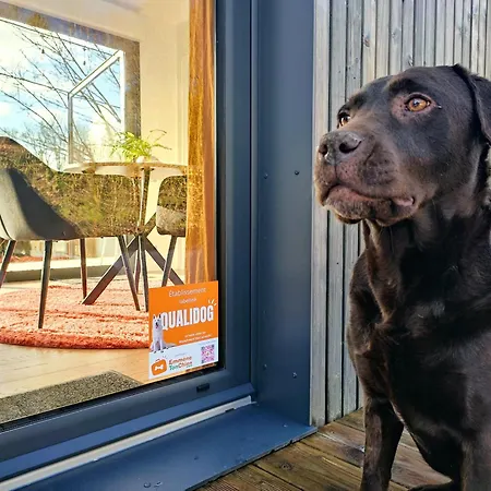 L'ermitage - Avec Jardin Cloture Saint-Jans-Cappel